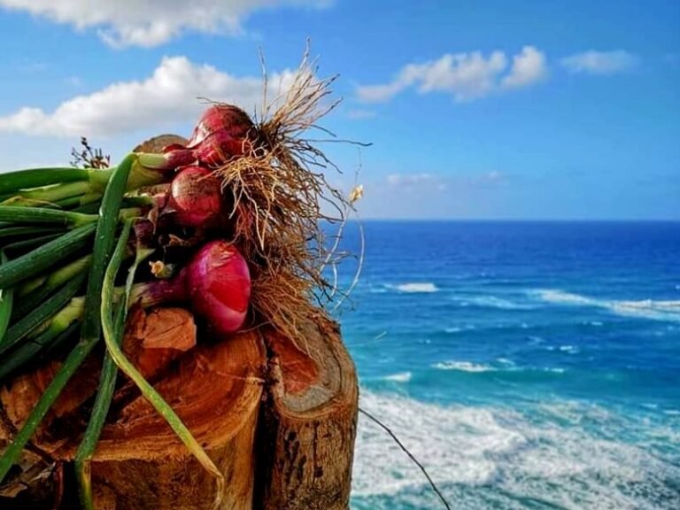 Gastronomia Tipica Tropeana
